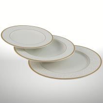 NEW HOLLIS GOLD CLASSIC