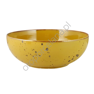 COTTAGE YELLOW SALATERKA 23 cm AKIJ - Alumina Bogucice