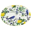 CAPRI rawierka 25 cm - 2