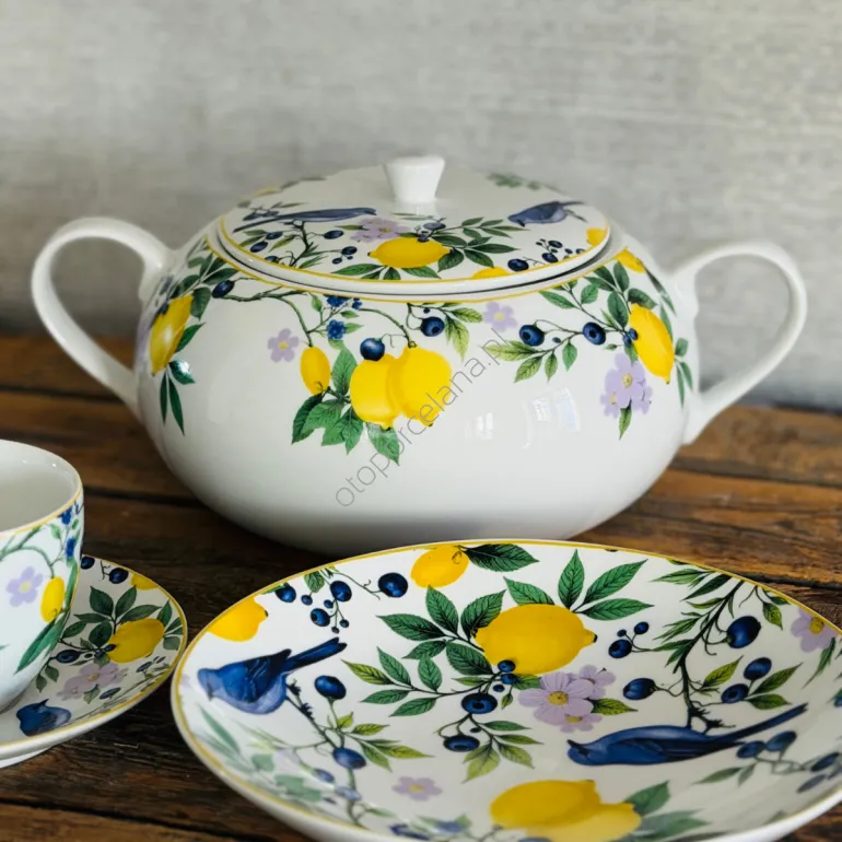 CAPRI waza 3l